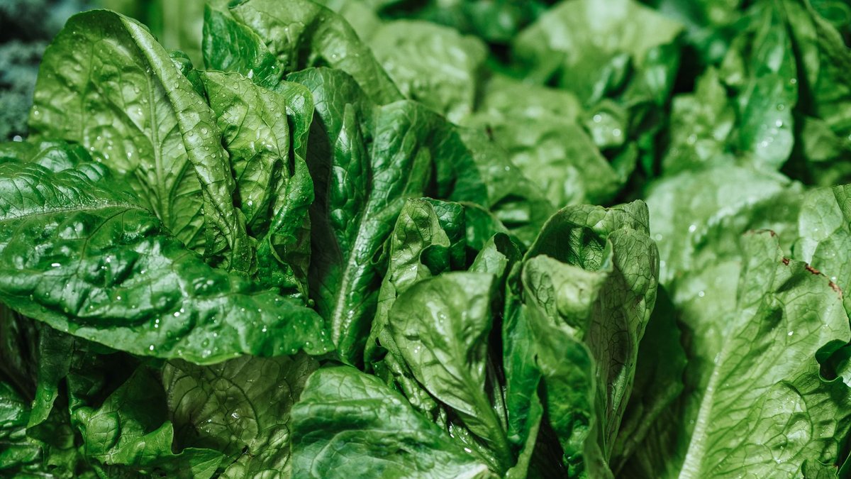 🥗 무치기