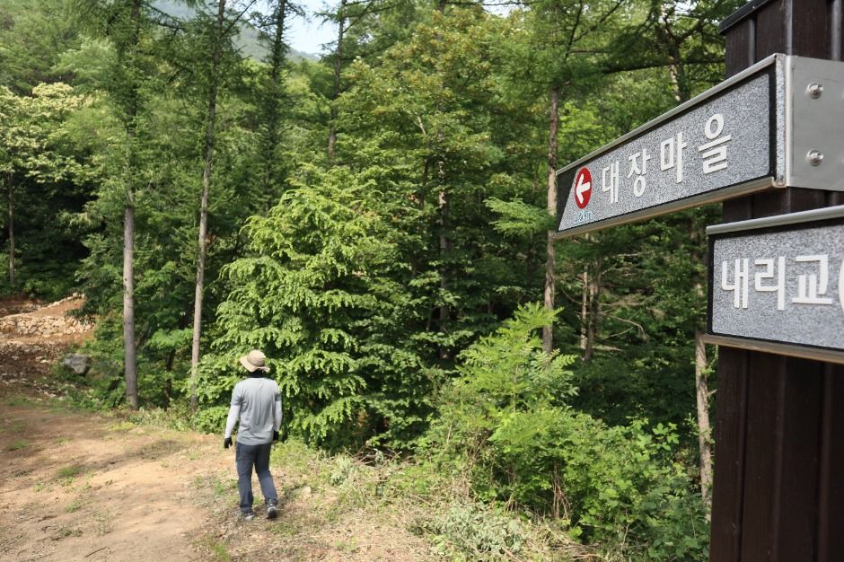 2026 장마 시기 대비 필수 준비물 - 제품/핵심 정보