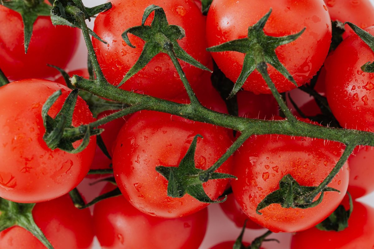 🍅 손질