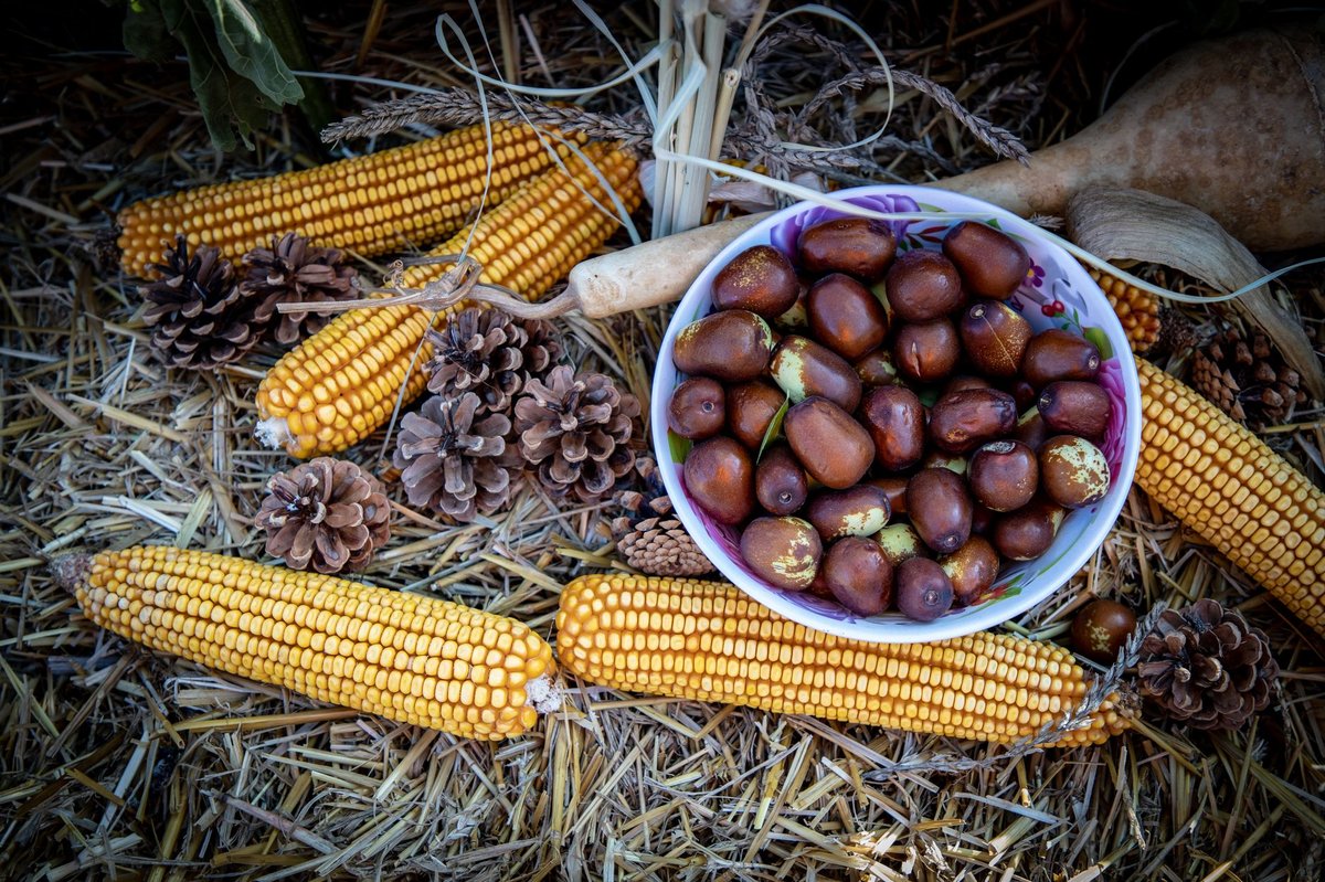 🌰 재료 준비