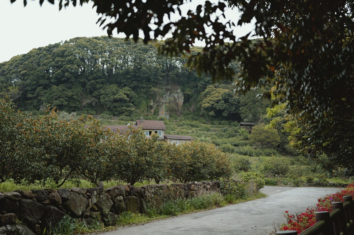 Jeju Island July Rainy Season Rental Car Drive Course - 전경/입구