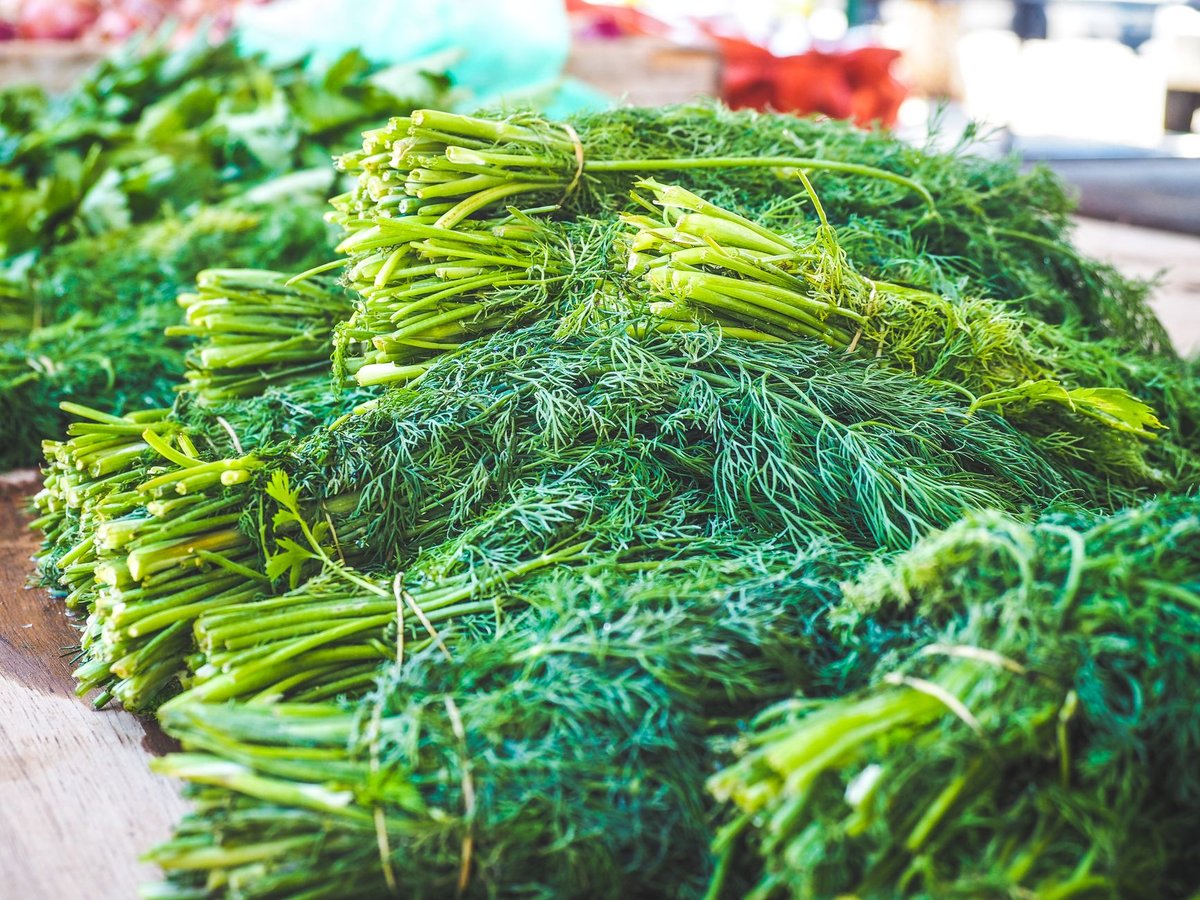 🥬 아욱 손질