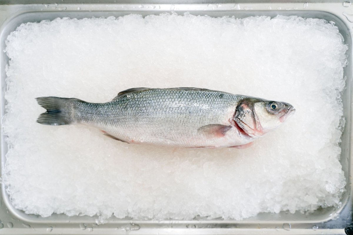 🐟 손질