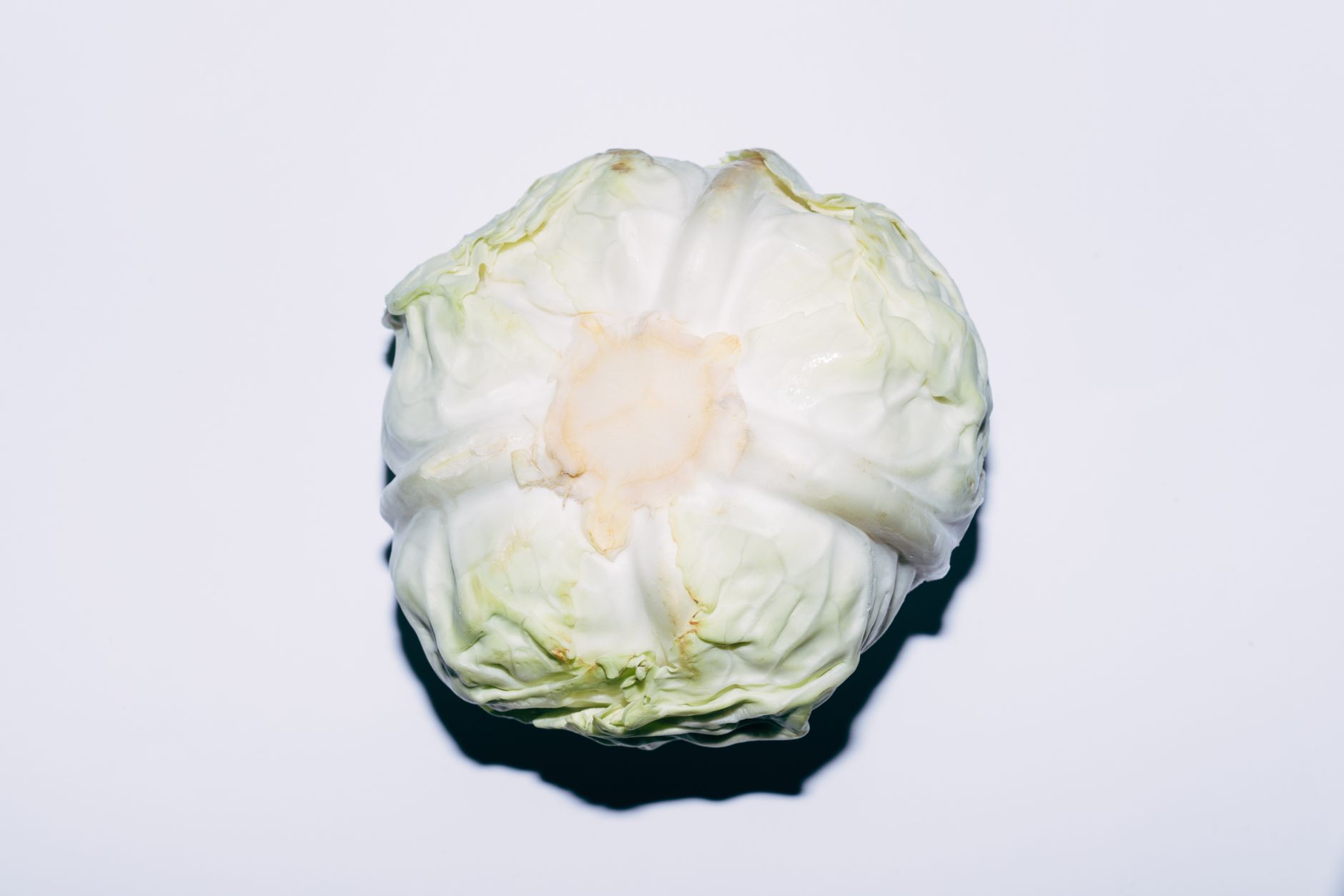 🥬 손질