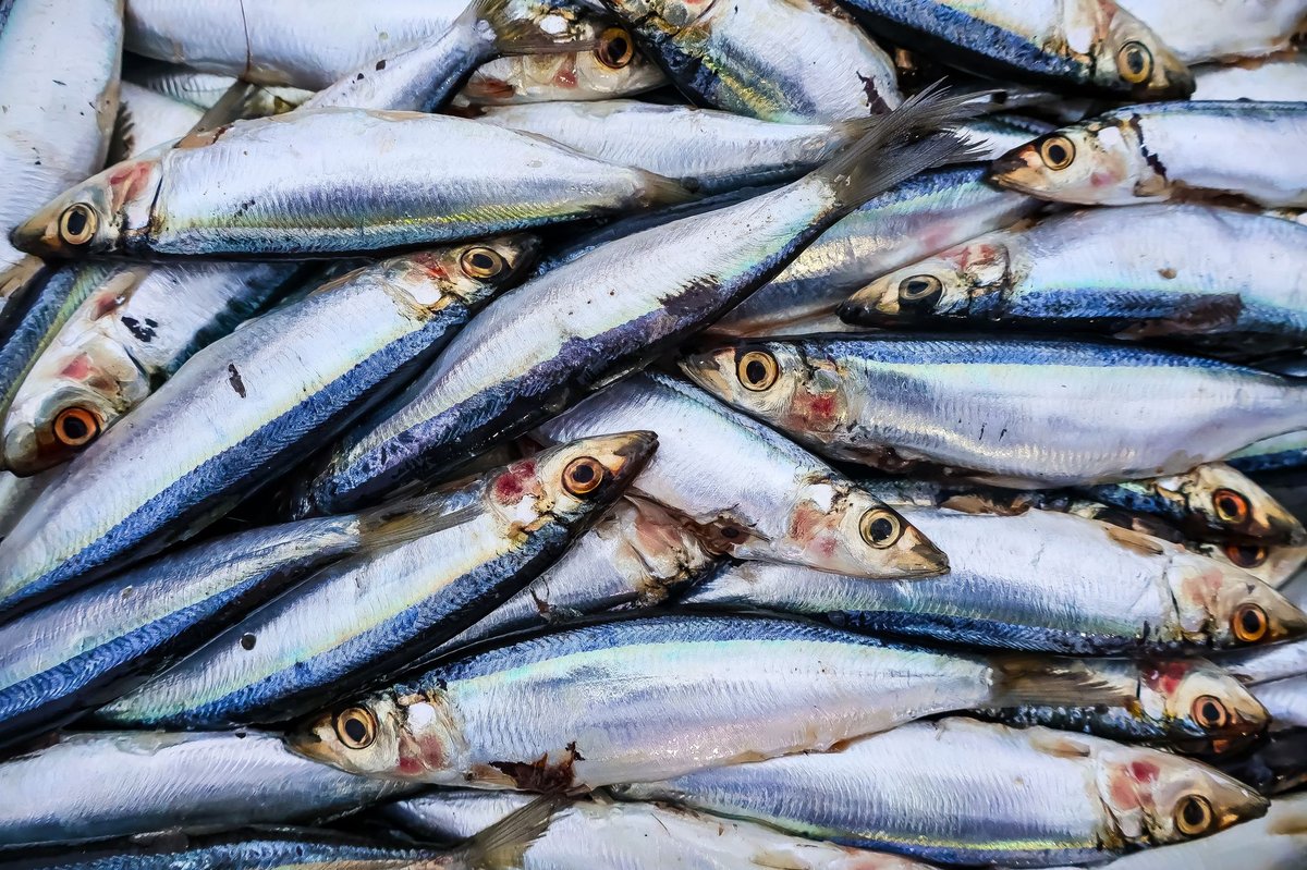 🐟 손질&middot;비린내 잡기