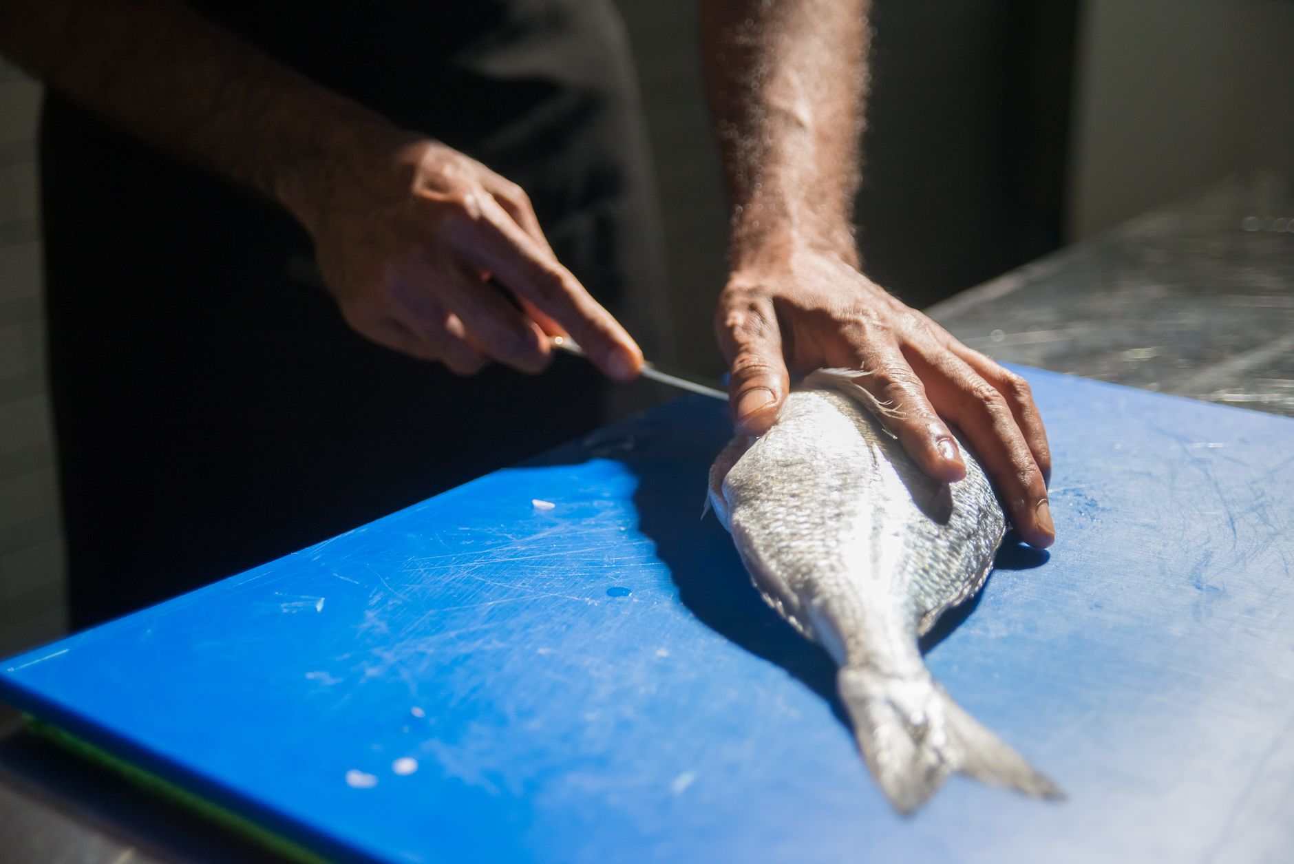 🐟 손질