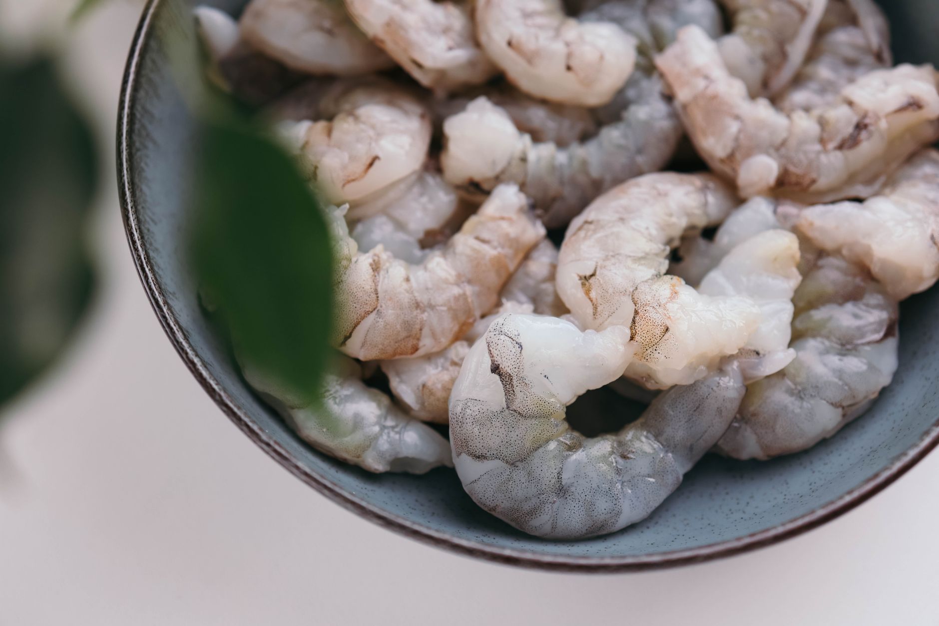 🦐 손질