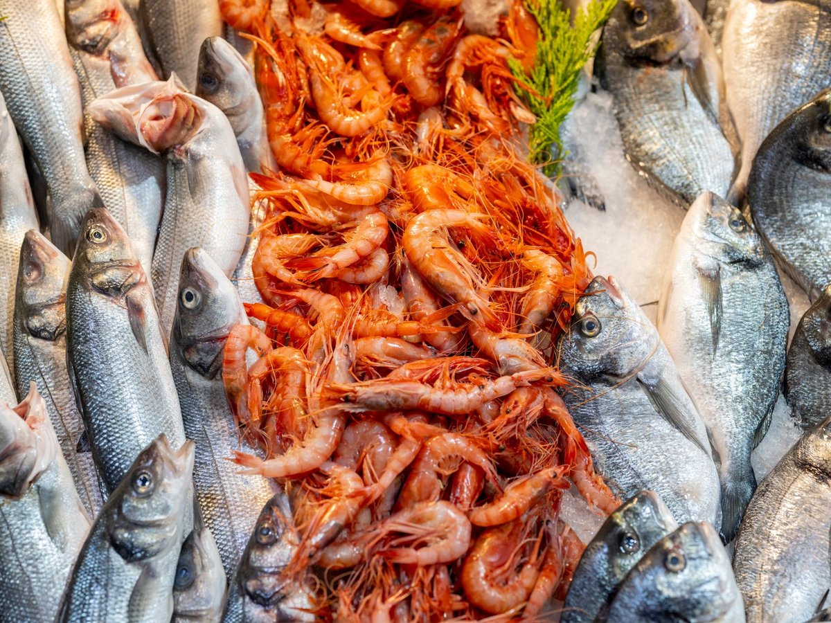 🦐 밑작업
