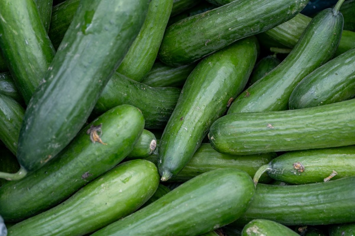 오이냉국 황금레시피 만드는법 새콤달콤 여름 냉국 초간단 - 완성 근접샷