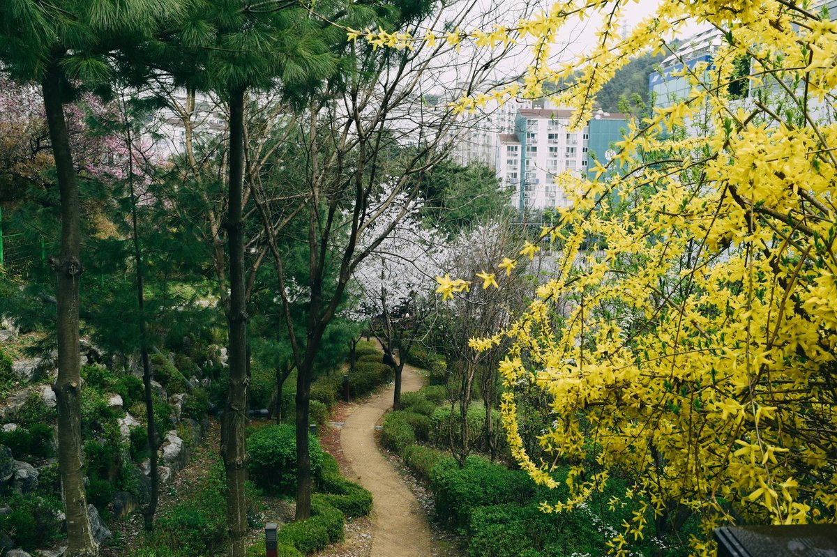 Seoul Garden Festival Free K-pop Concert May 23 &mdash; Lee Mujin (Sing Again Winner, 신호등), So Soobin, Daybrown, Coven Live at Seoul Forest, Walk-in Welcome Even Without Reservation - 전경/입구