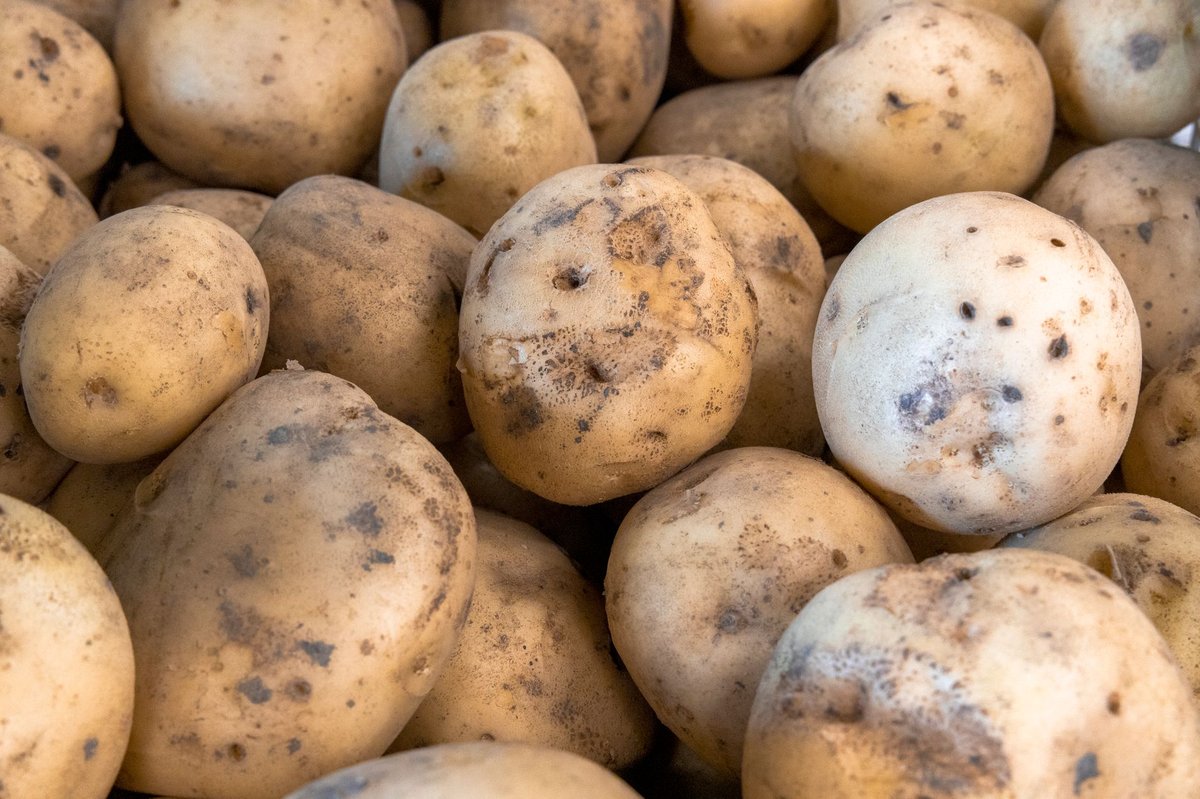 🥔 준비
