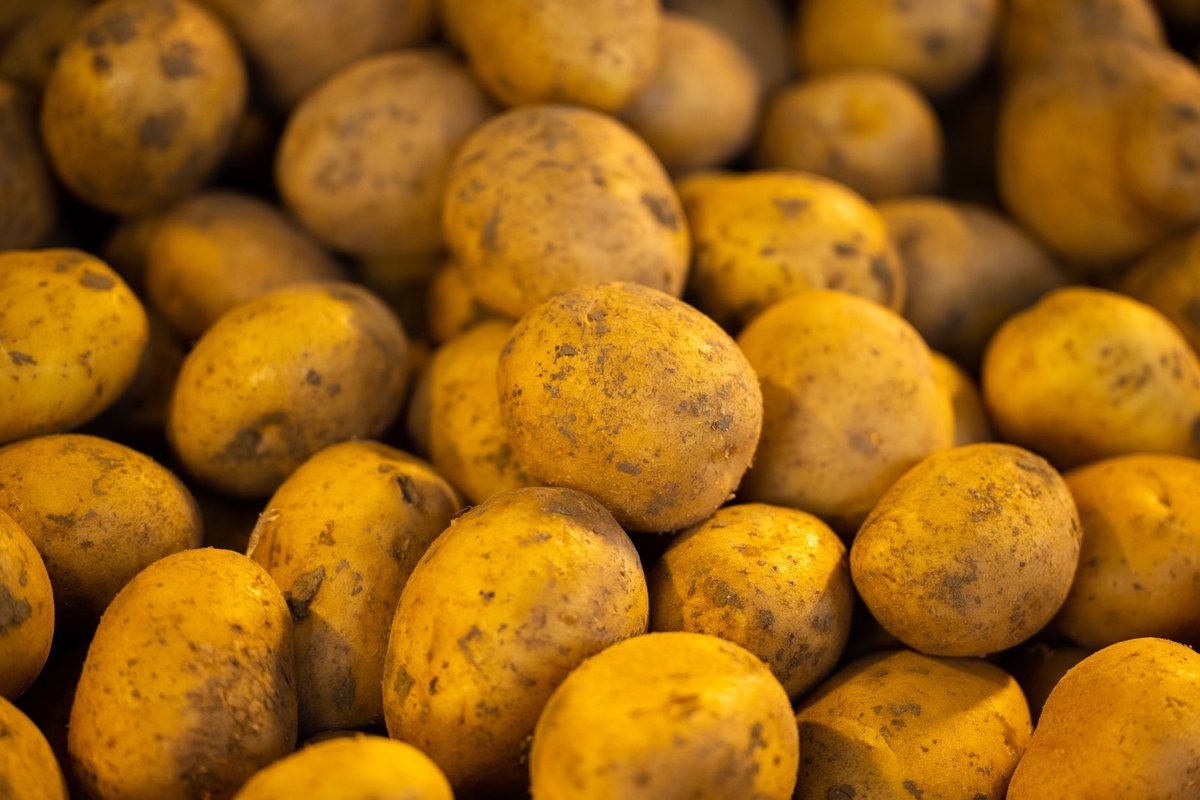🥔 손질
