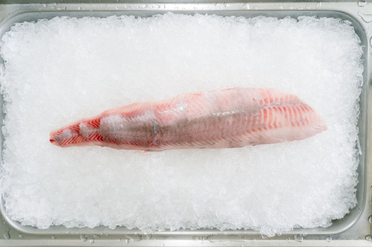 🐟 손질