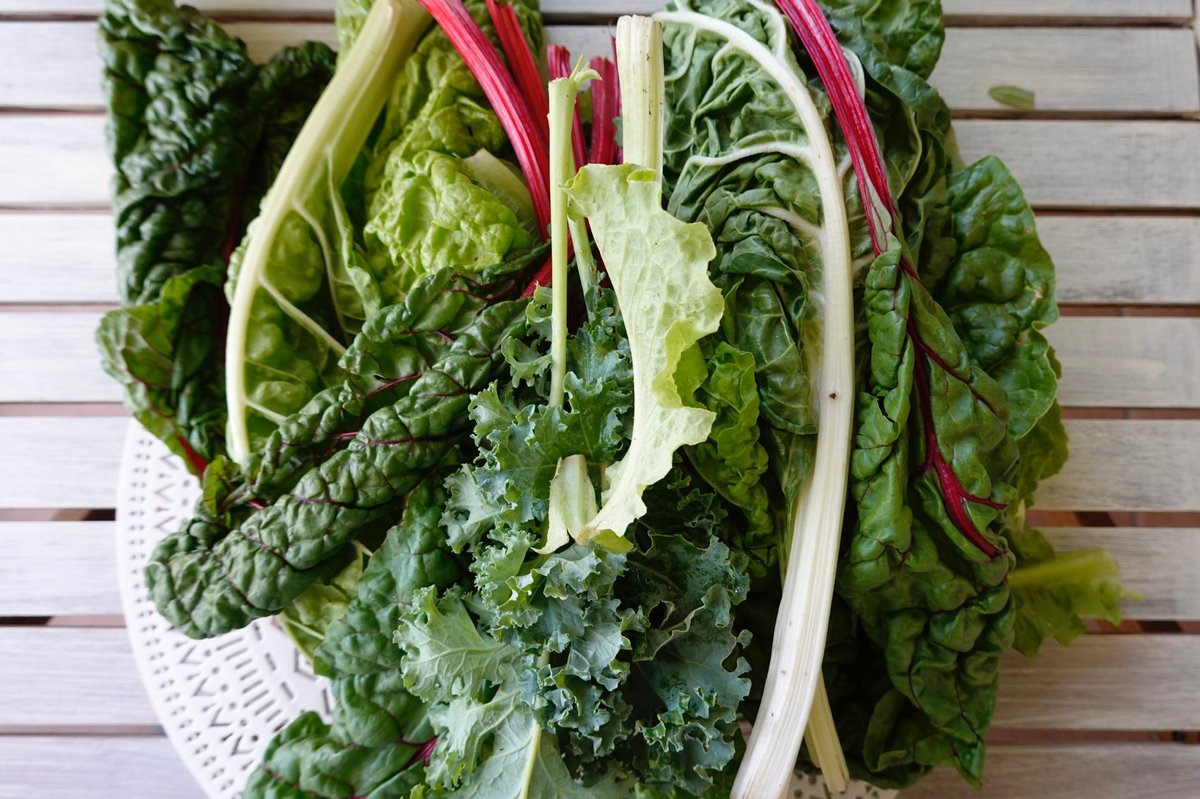 🥬 손질