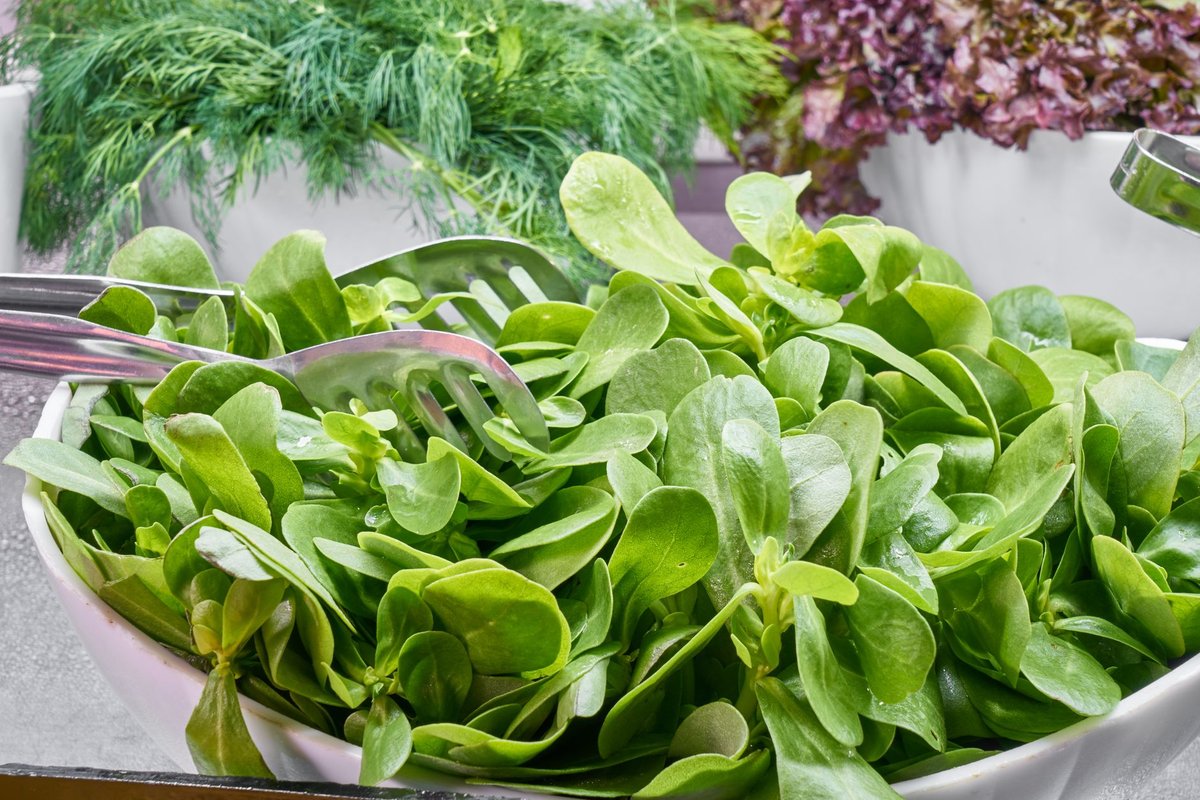 🥬 데치기