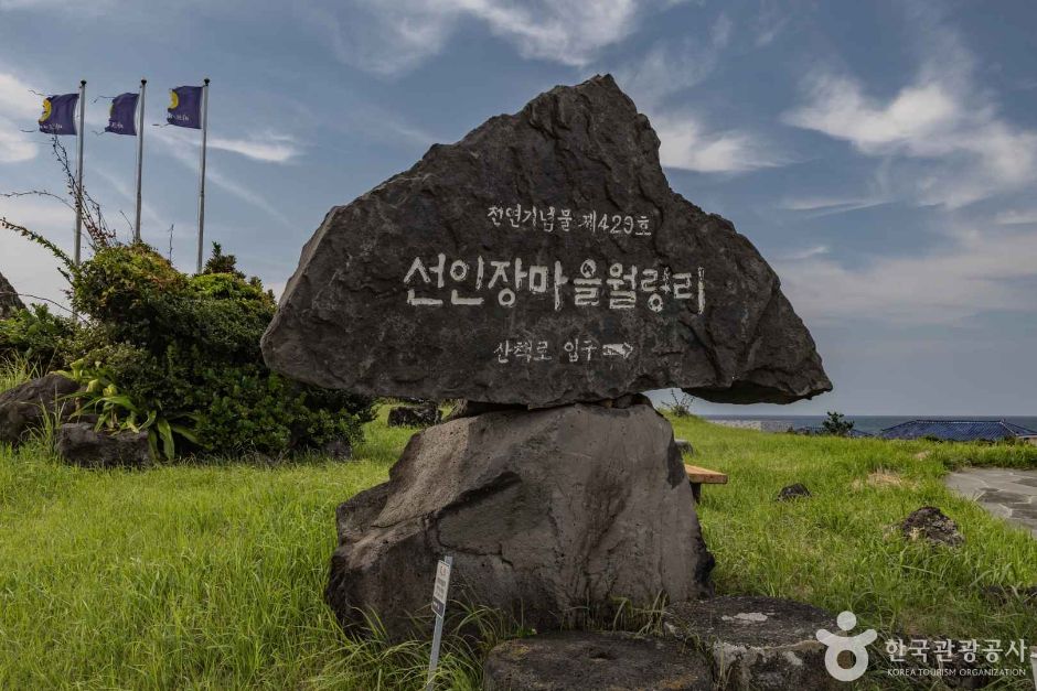 2026 장마 시기 대비 필수 준비물 - 실사용 장면