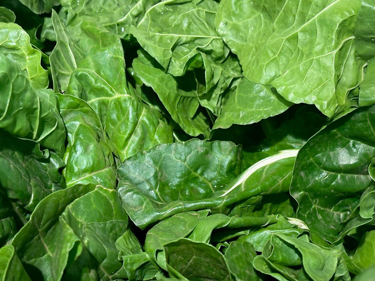 🌿 데치기