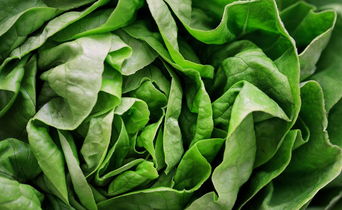 🥬 손질