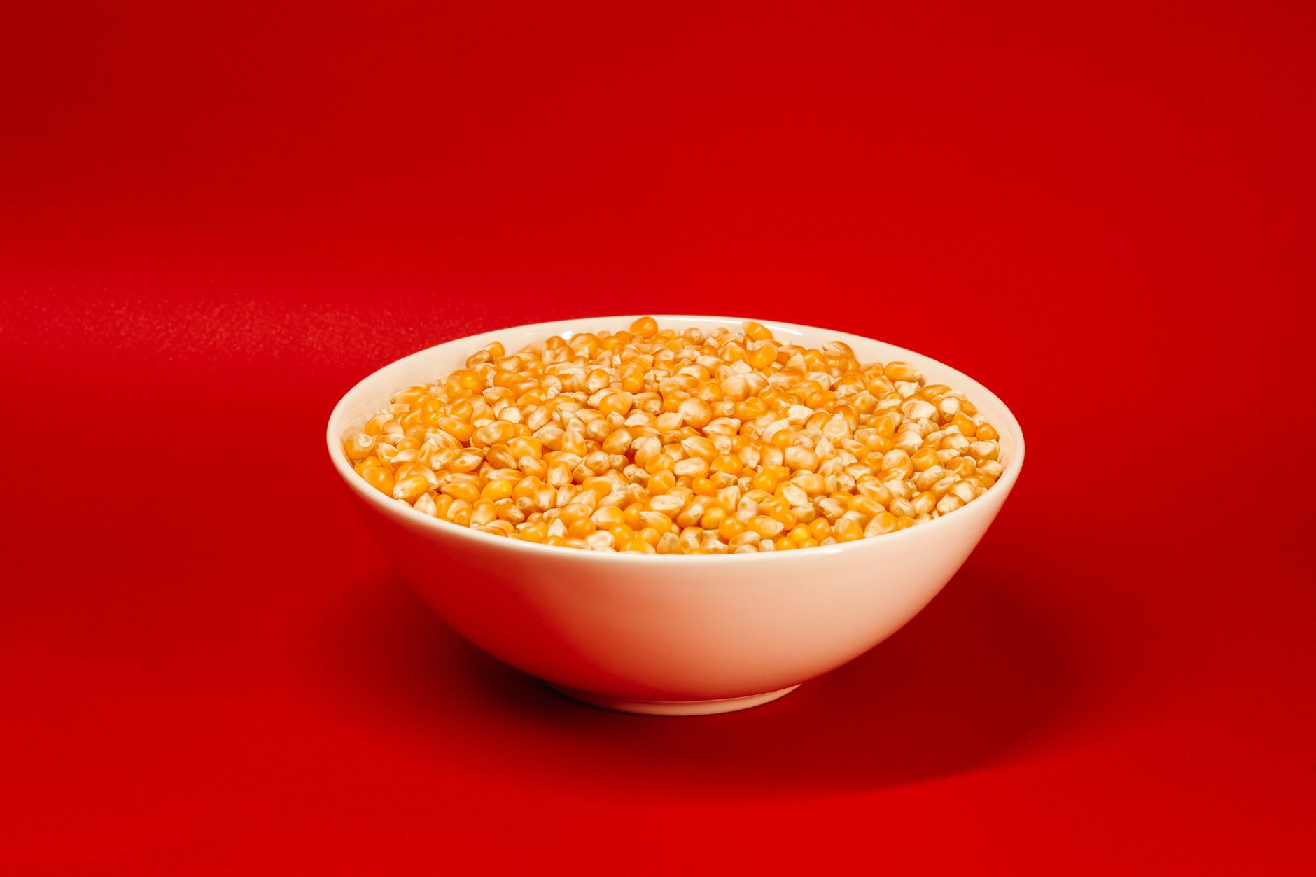 옥수수밥 짓는 법 제철 옥수수 달큰 고소