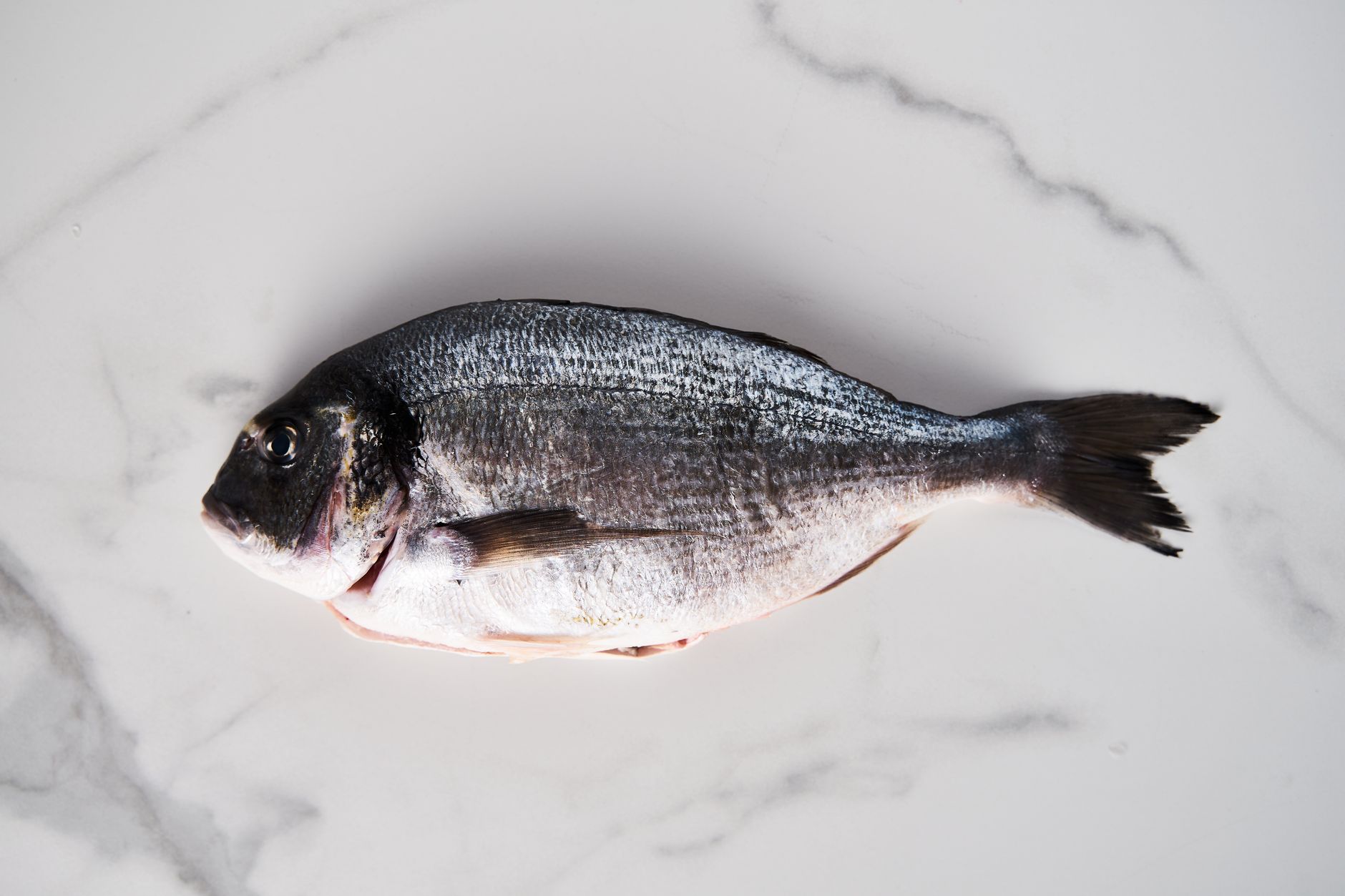 🐟 손질