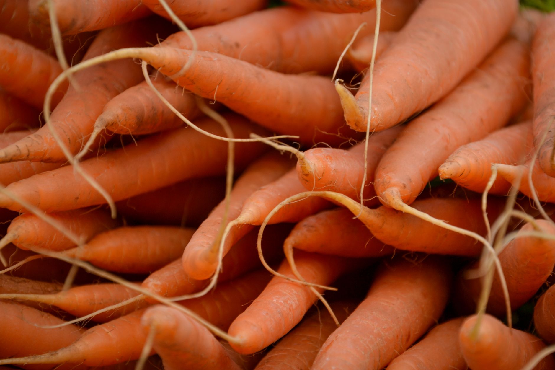 🥕 손질