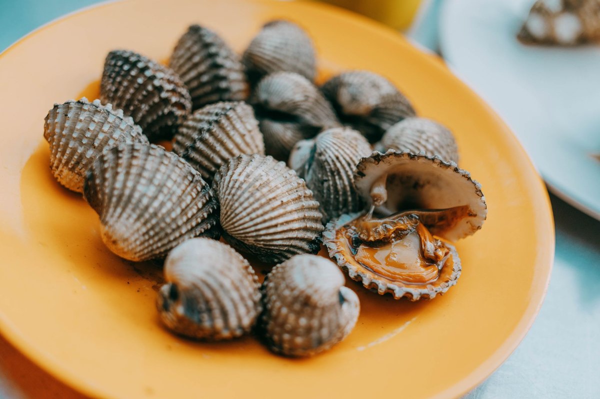 🐚 해감