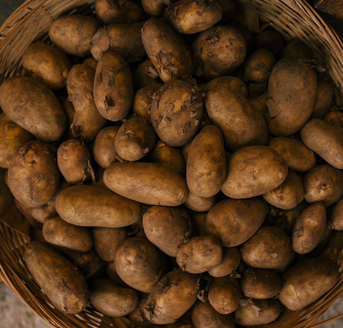🥔 삶기
