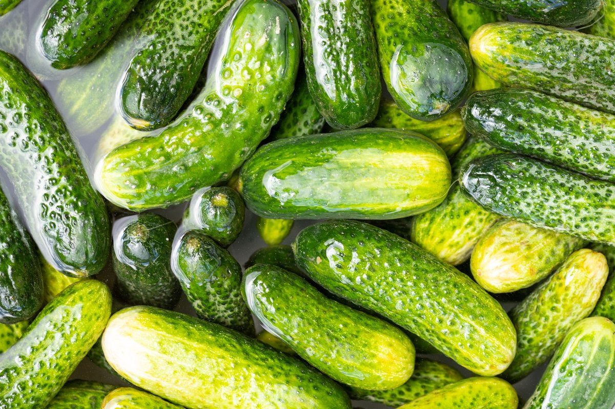🥒 손질