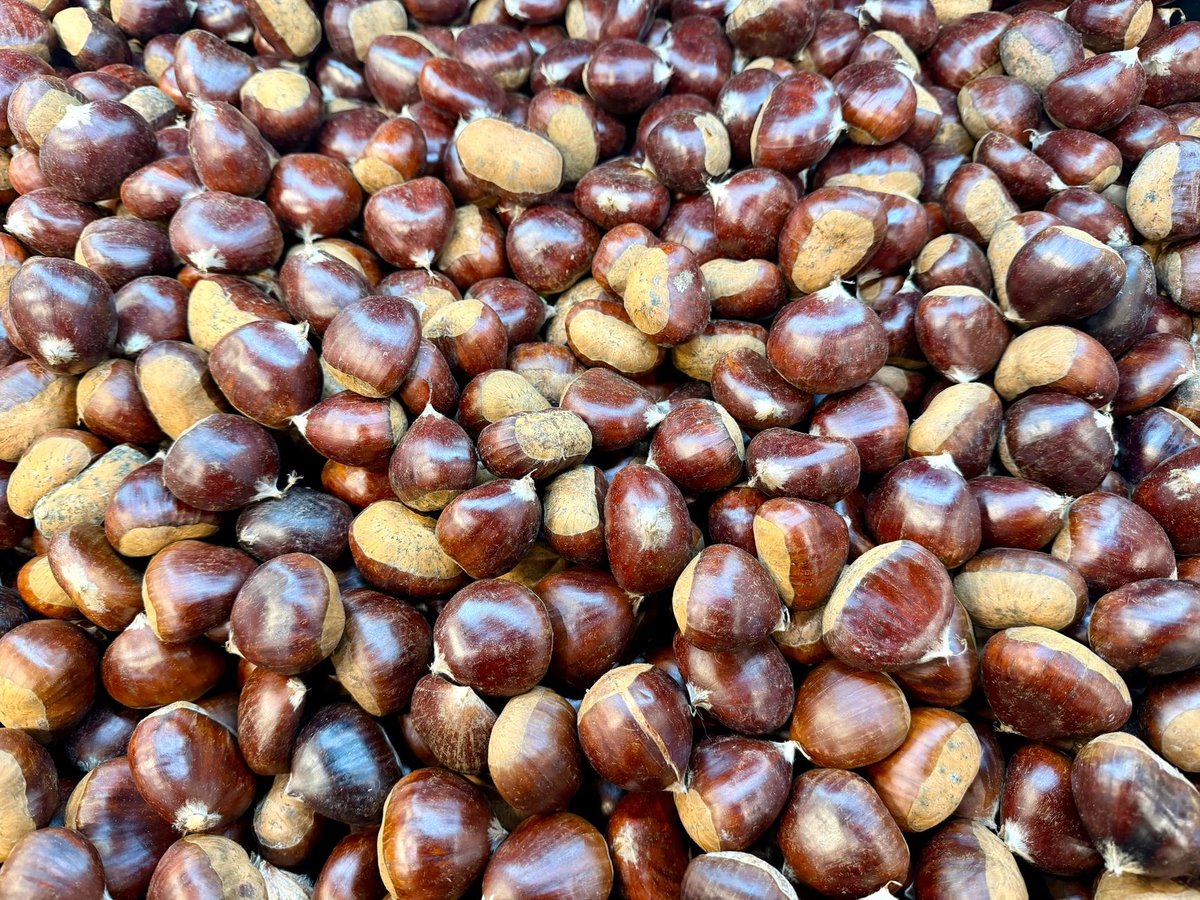 🌰 껍질 까기