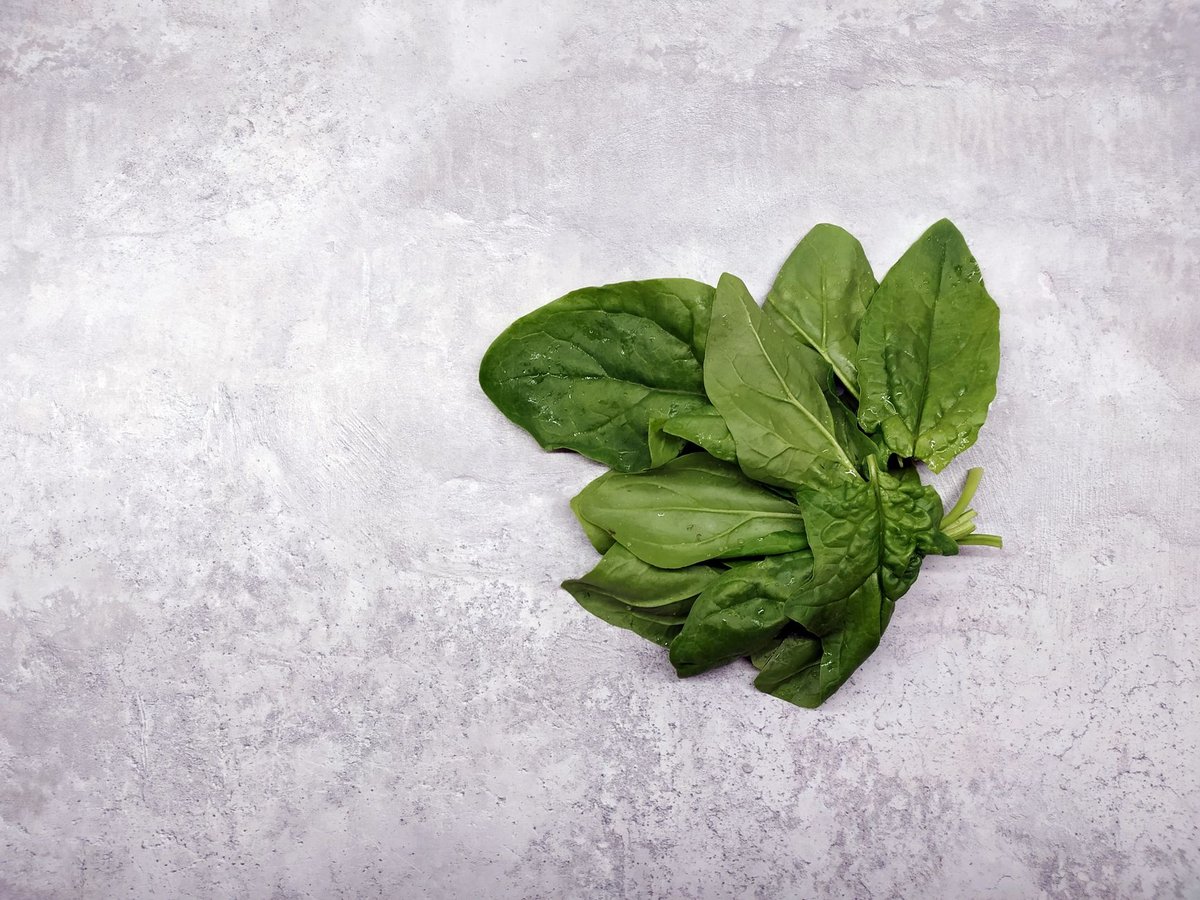 🥬 손질