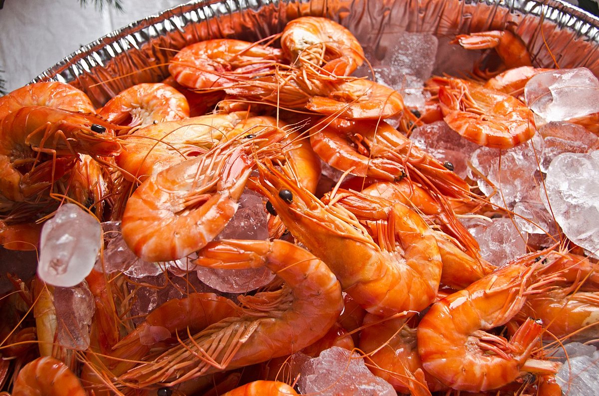 🦐 손질