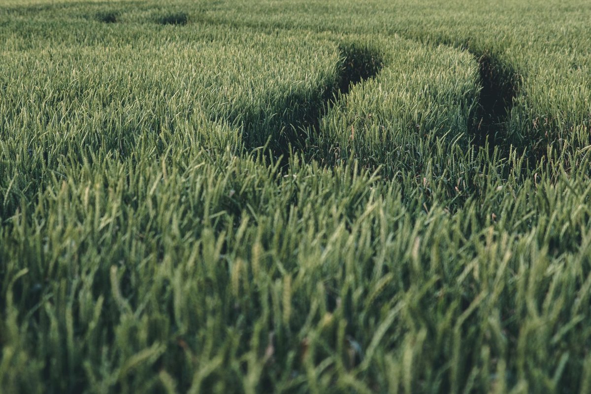 🌾 풍습&middot;세시