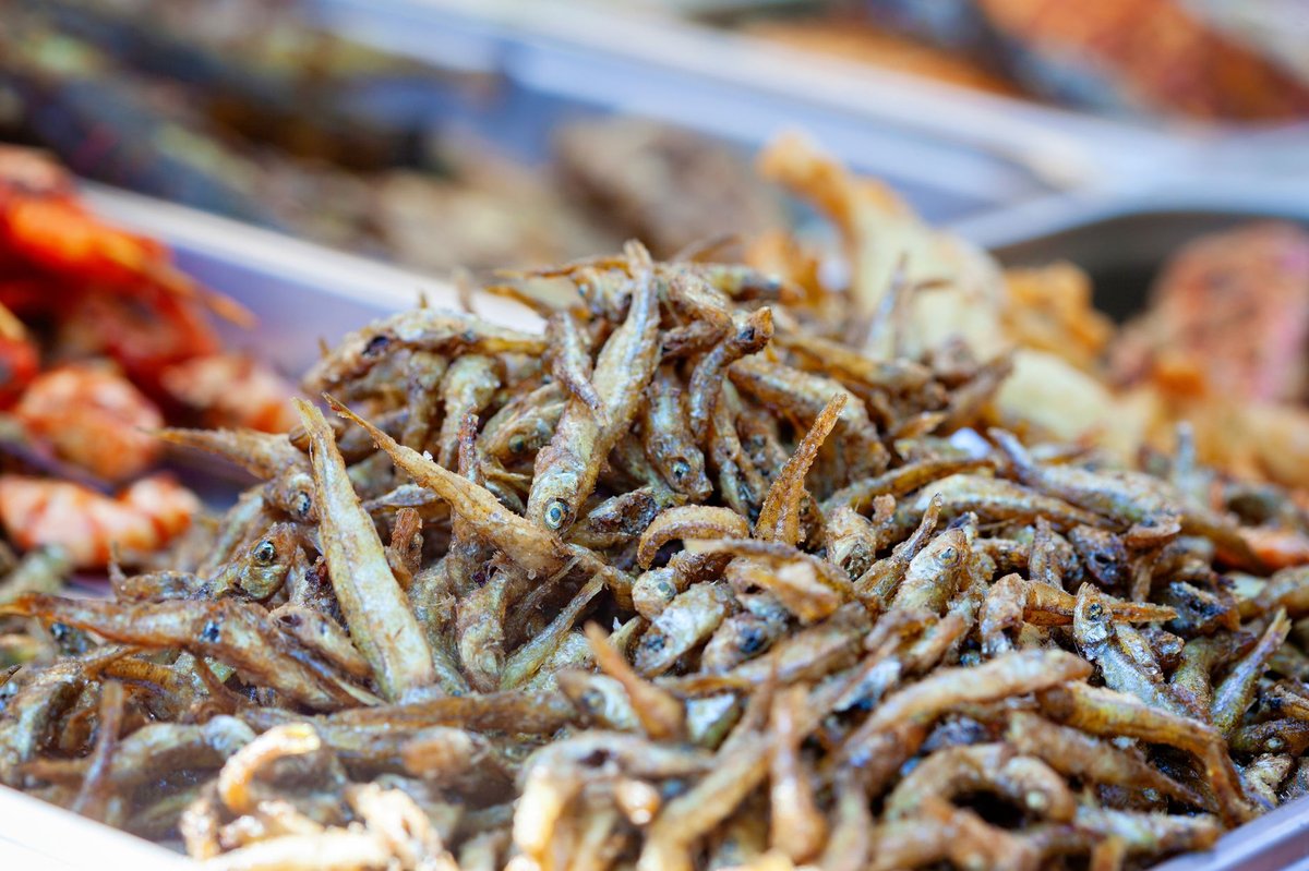 꽈리고추멸치볶음 촉촉하게