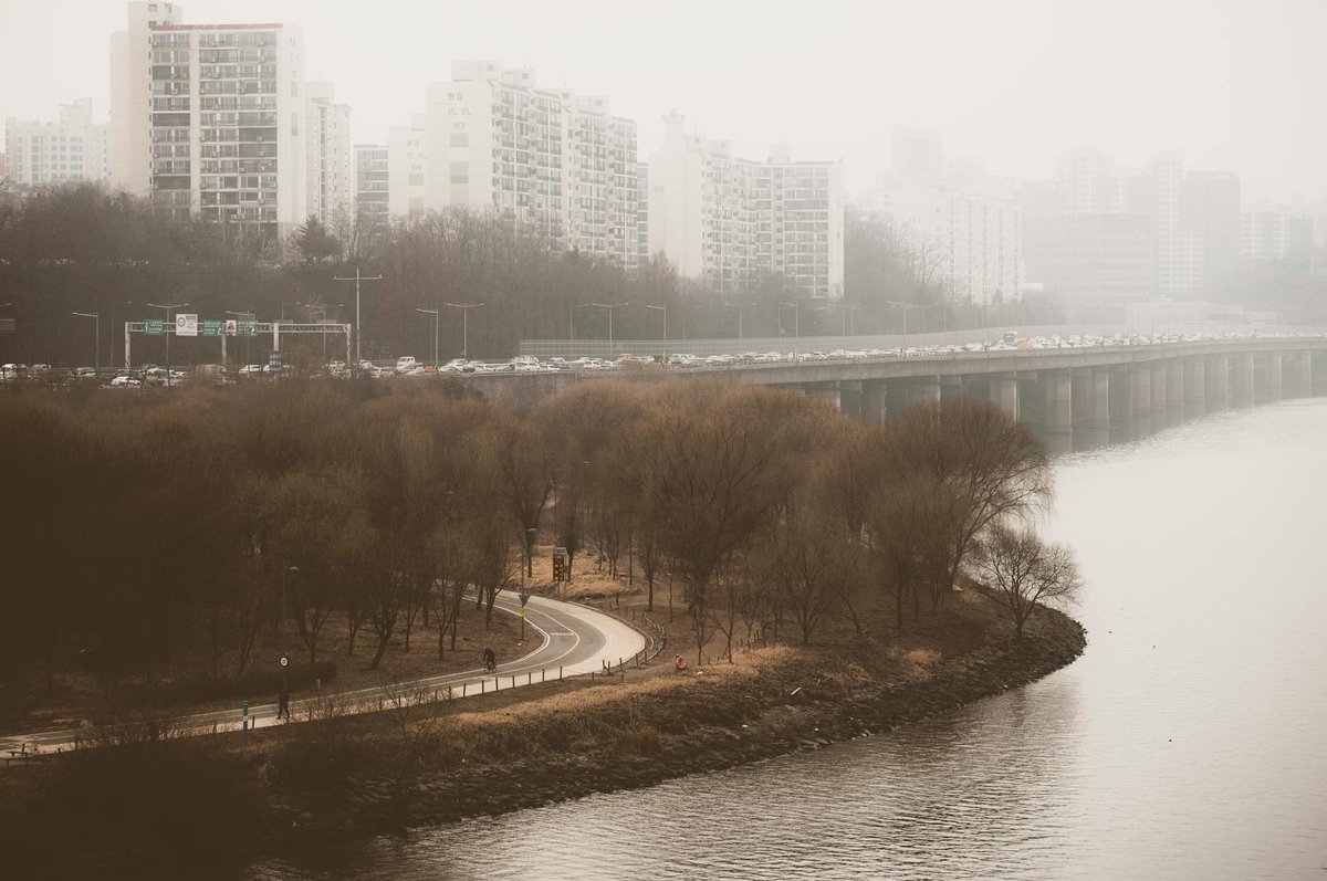 Seoul Forest Garden Festival May 30 2026 Free Outdoor Concert &mdash; 10CM and Jukjae Live, How to Get to Seoul Forest by Subway, Walk-in Welcome Guide for Visitors - 주변 환경