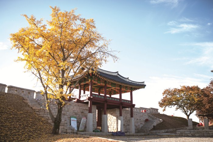 2026 지방선거 사전투표 방법 날짜 총정리 - 트렌드 상징