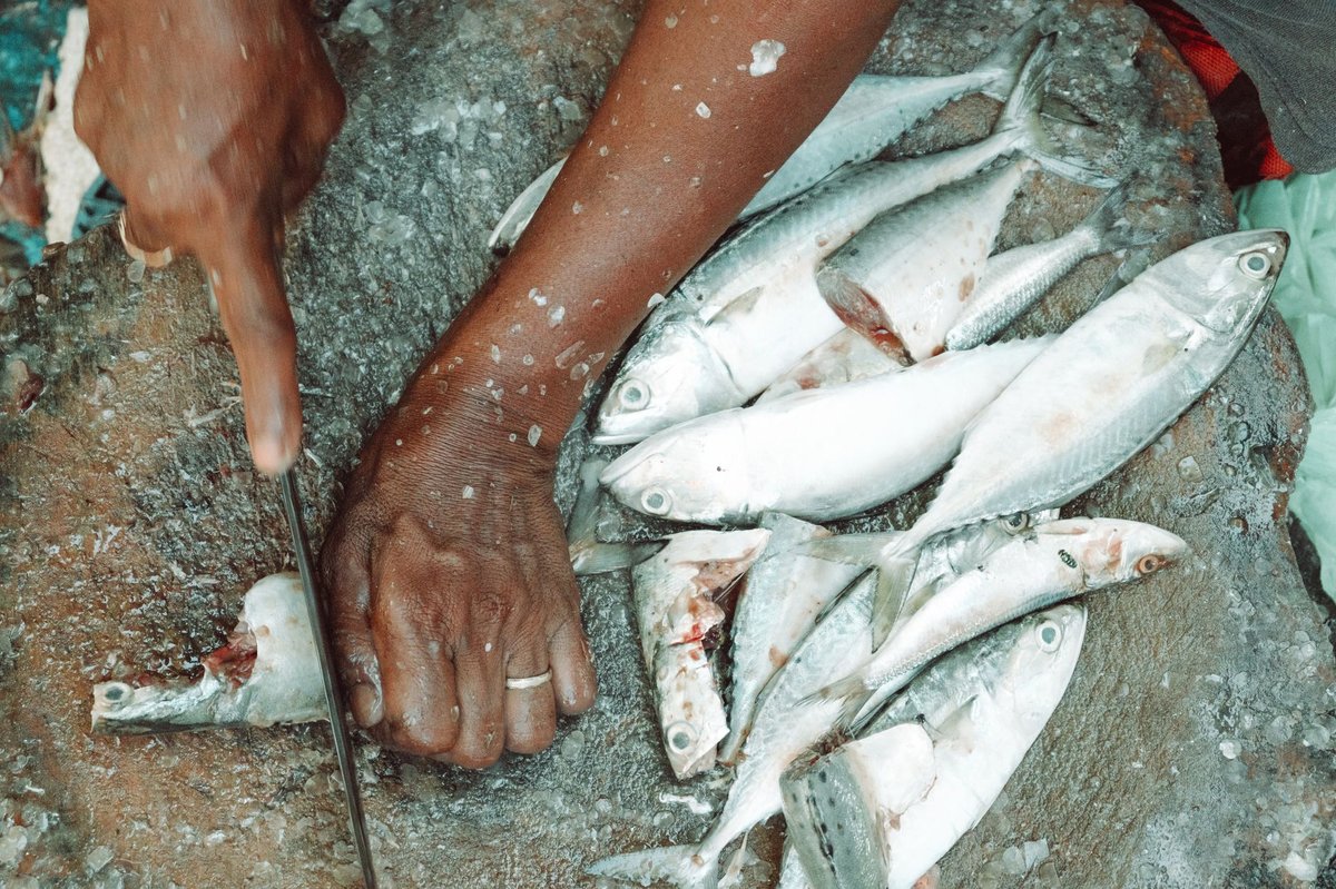 🐟 손질&middot;밑간