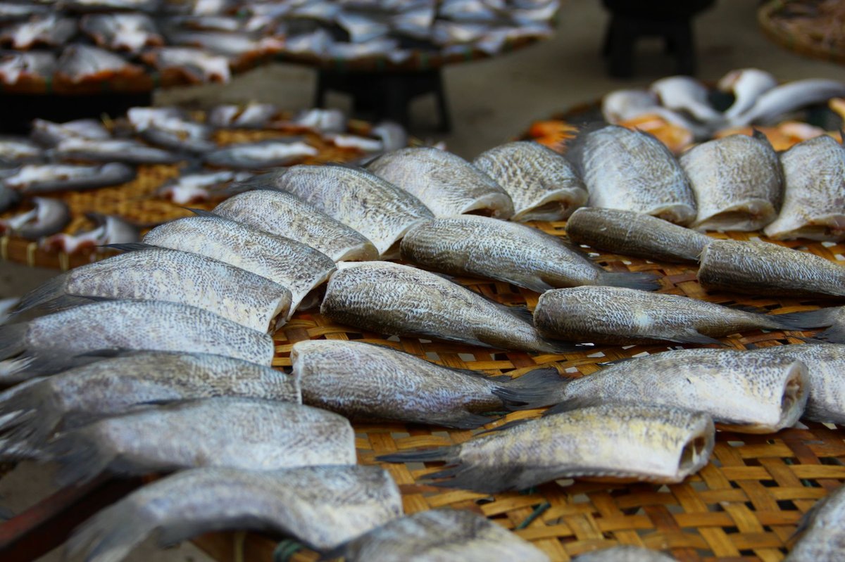 🐟 손질