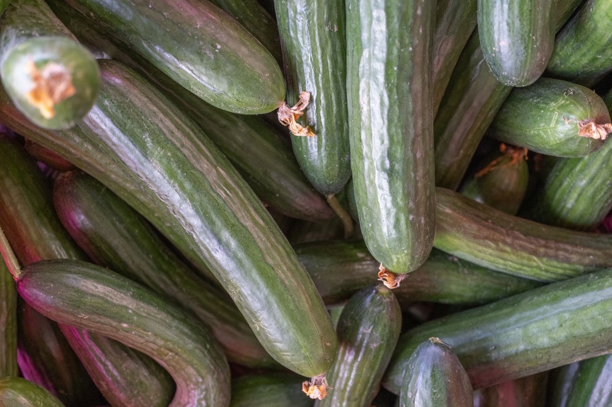 🥒 두드리기