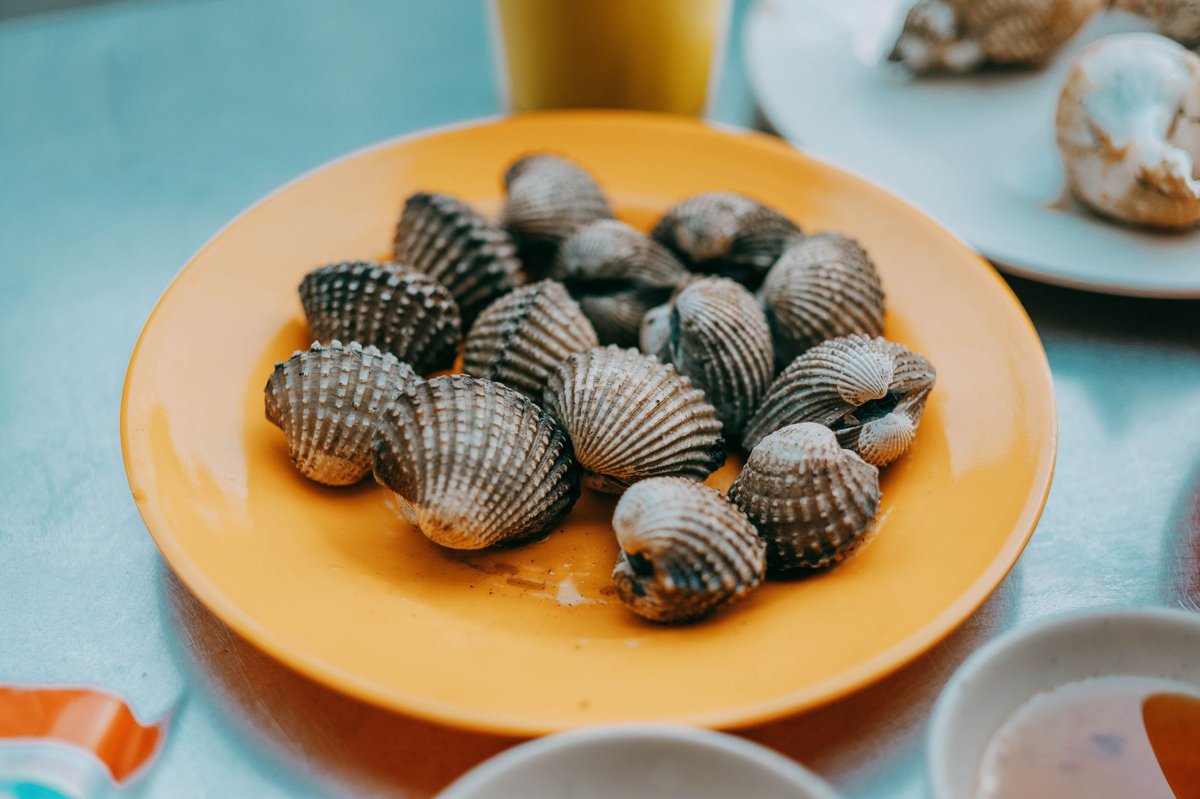 🐚 꼬막 손질