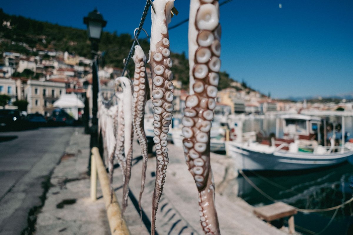 🐙 손질&middot;양념