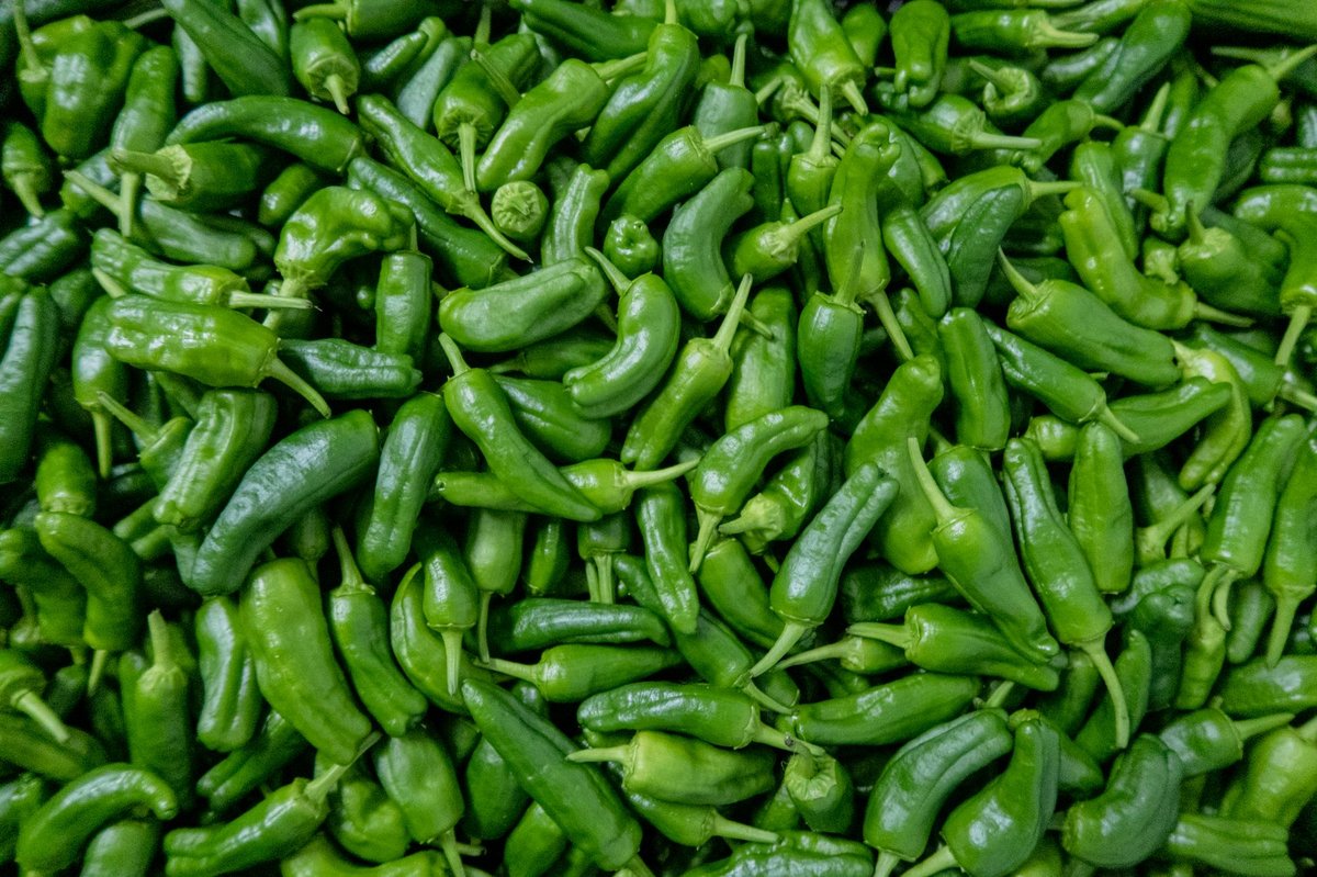 🌶️ 준비