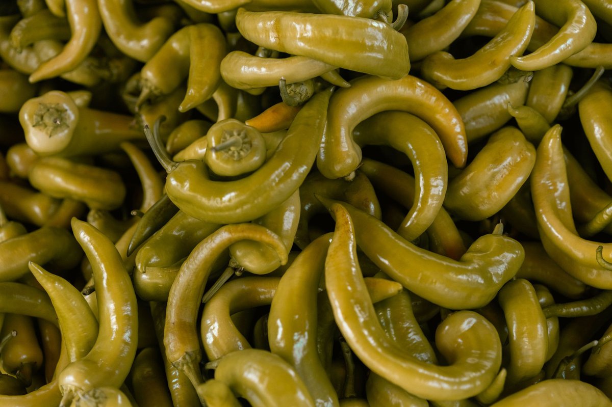 🌶️ 고추 손질