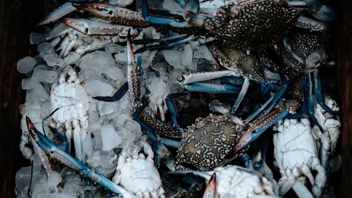 🦀 손질