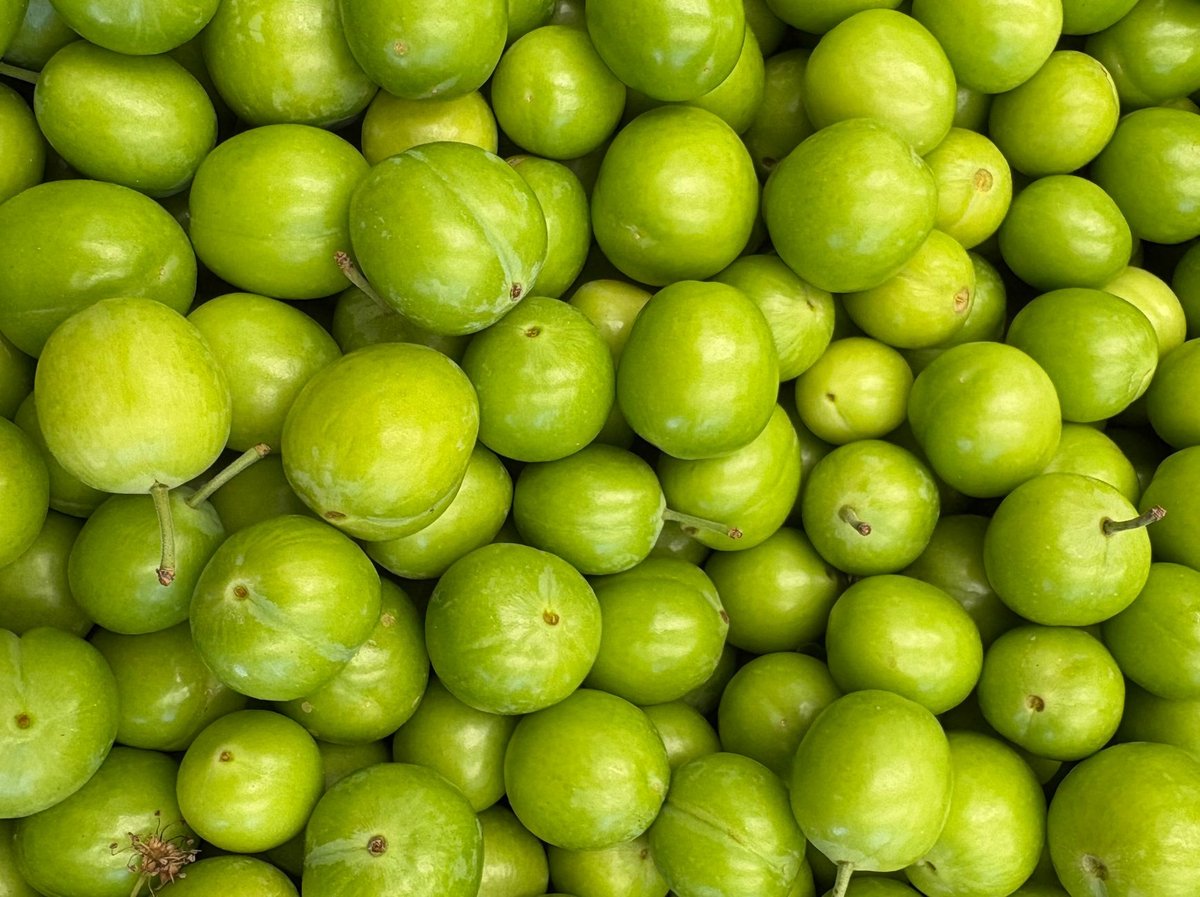 🍈 매실 손질