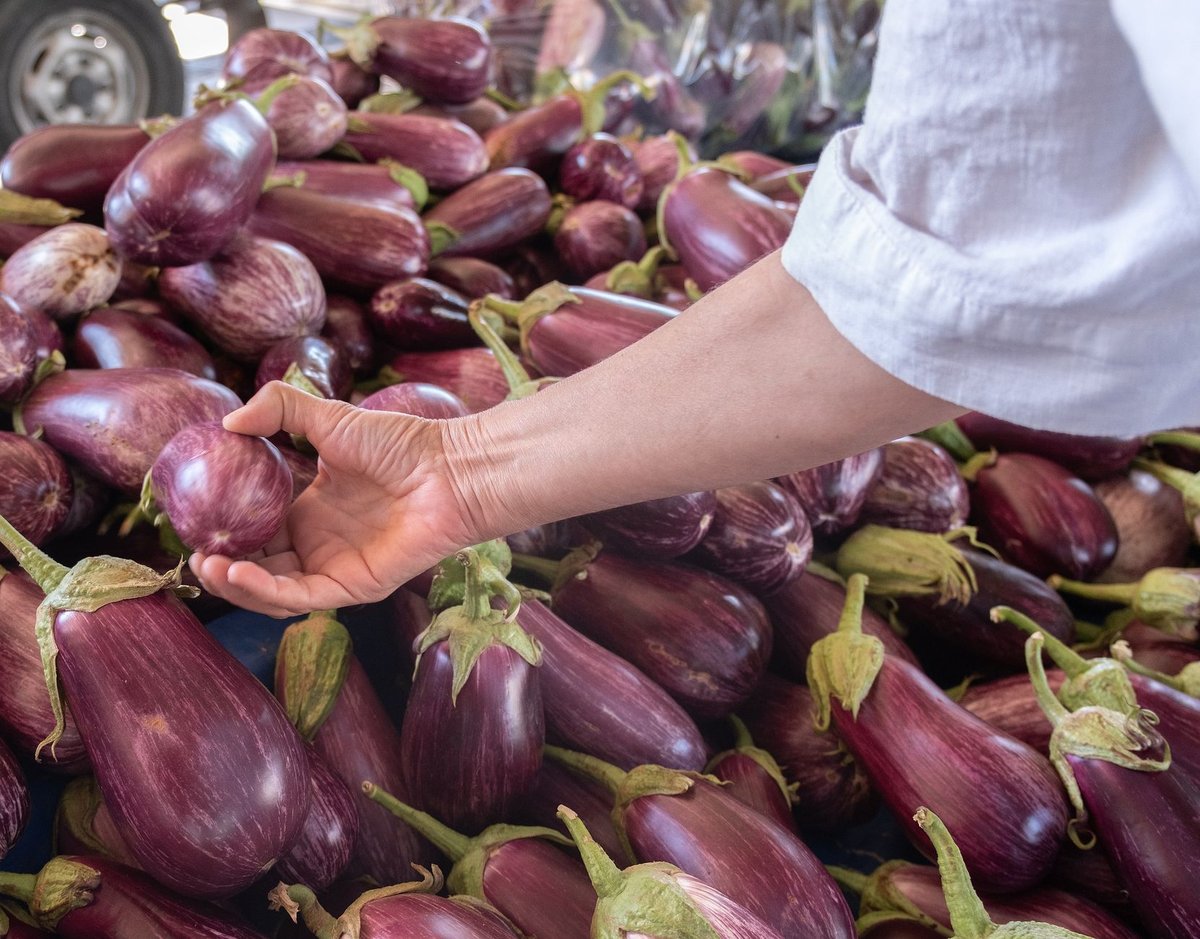 🍆 준비