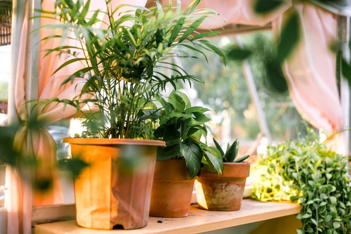 🌿 관리·휴가