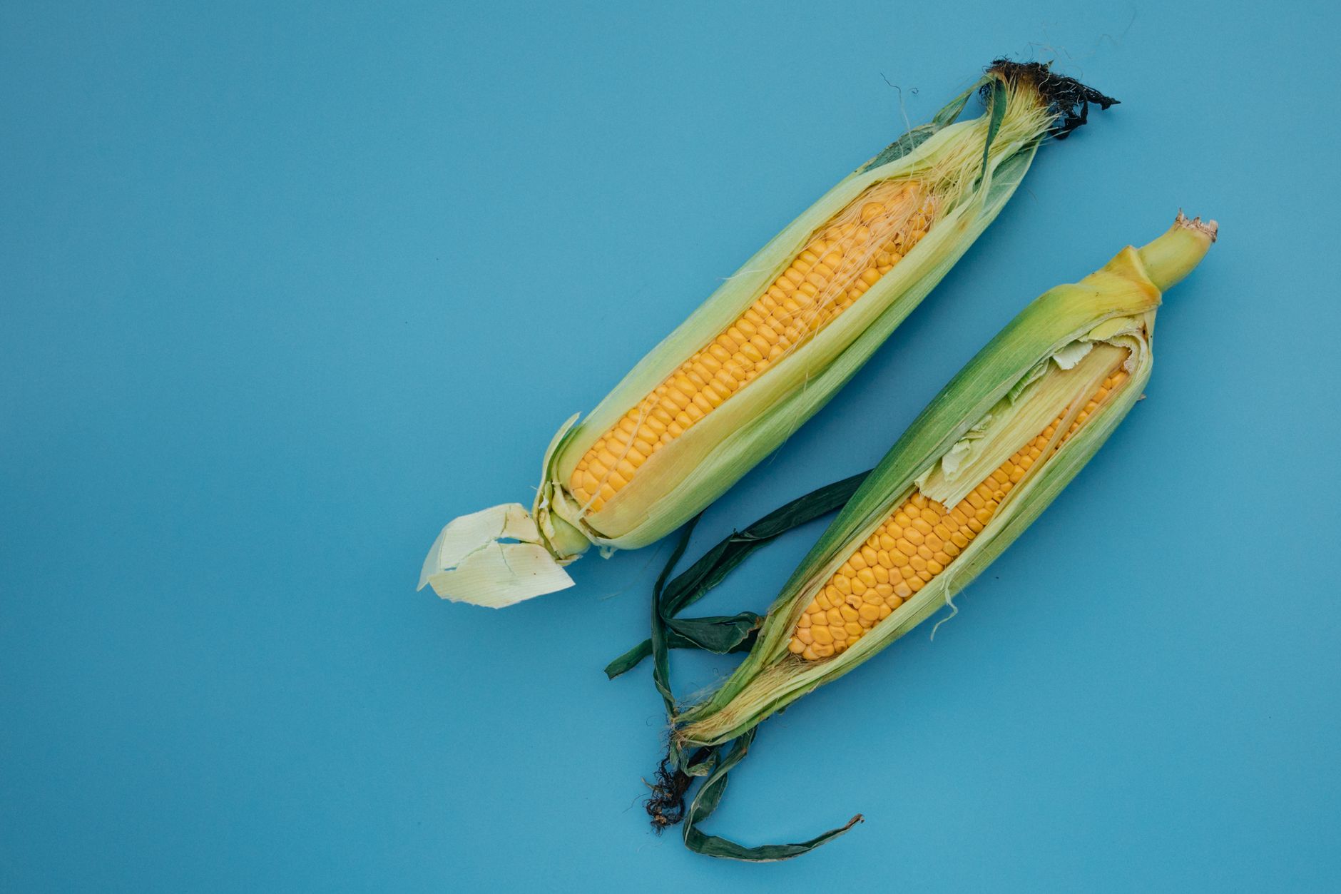🌽 반죽