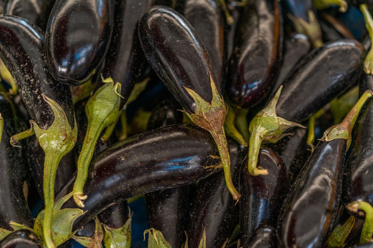 🍆 재료