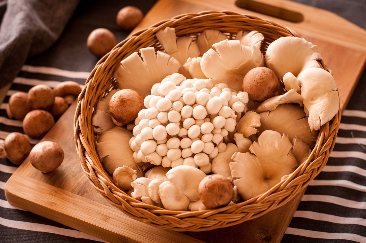 🍄 버섯 준비