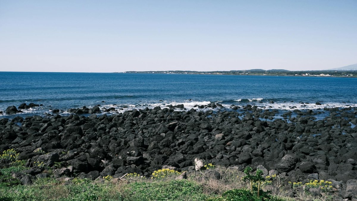 Jeju Island July Rainy Season Rental Car Drive Course - 이용 장면